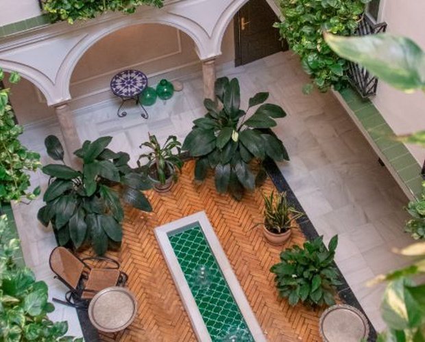Oferta no reembolsable Hotel Gravina 51 Sevilla Oferta no reembolsable Hotel Gravina 51 Sevilla