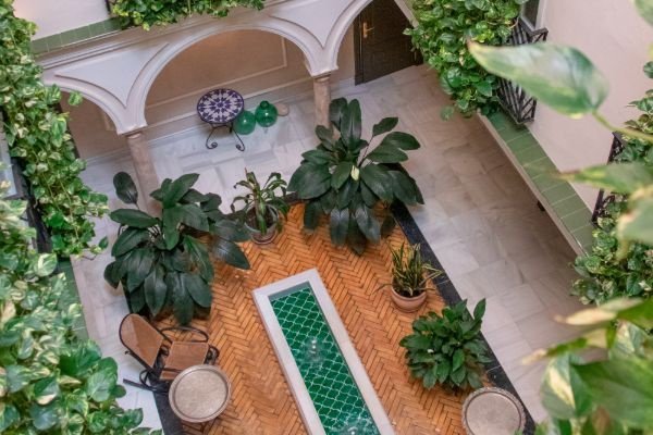 Oferta no reembolsable Hotel Gravina 51 Sevilla Oferta no reembolsable Hotel Gravina 51 Sevilla